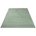 carpet city vloerkleed softshine 2236 bijzonder zacht door microvezel, woonkamer groen