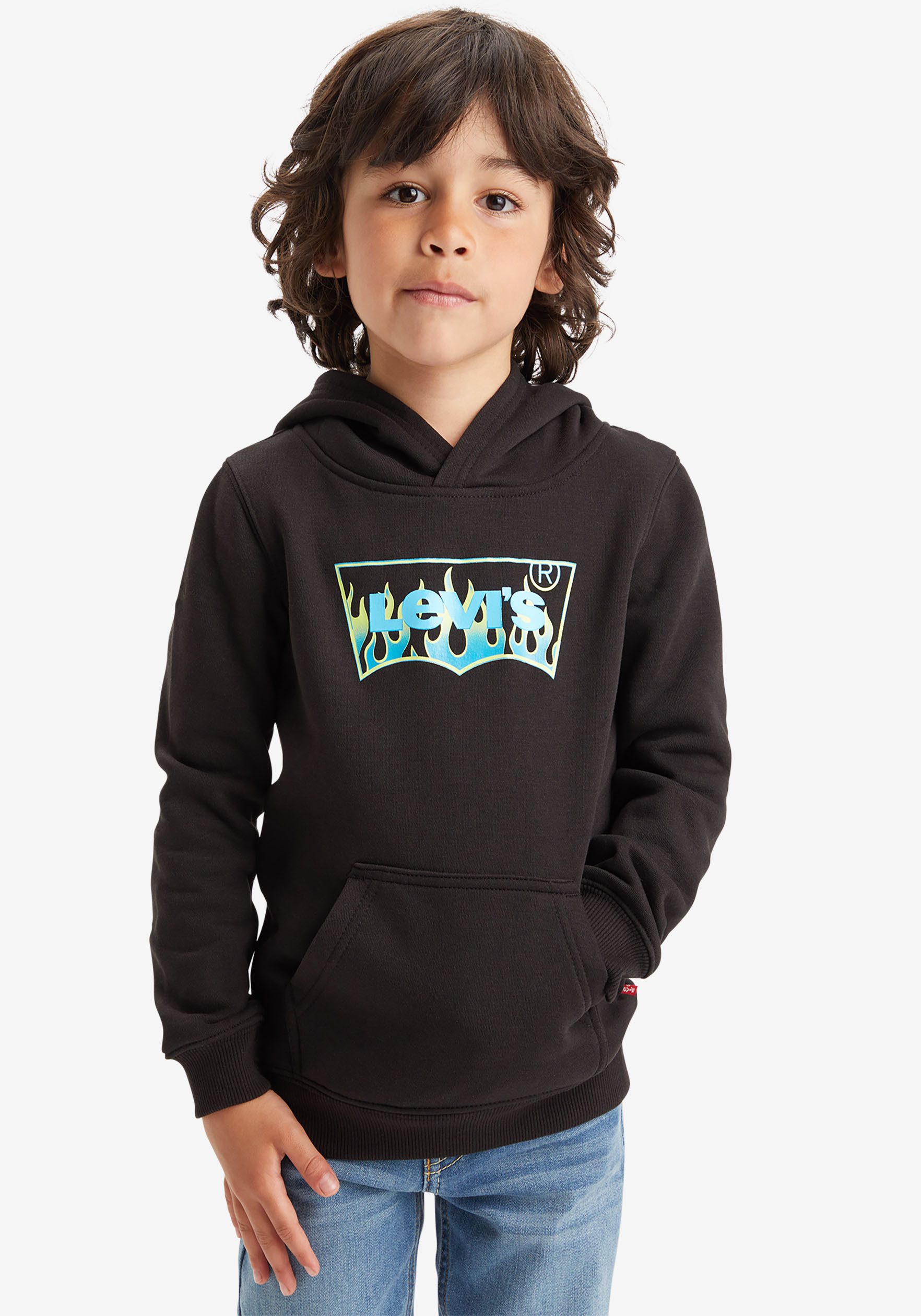 Levi's Kidswear Hoodie LVB BATWING FILL HOODIE