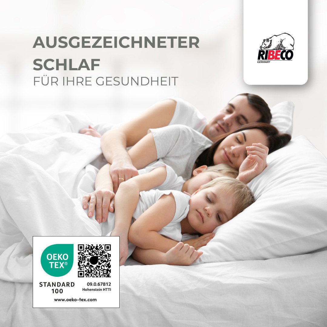 RIBECO Topmatras AARON optimale drukverlichting, met meer dan 1100 positieve klantbeoordelingen! (1 stuk)