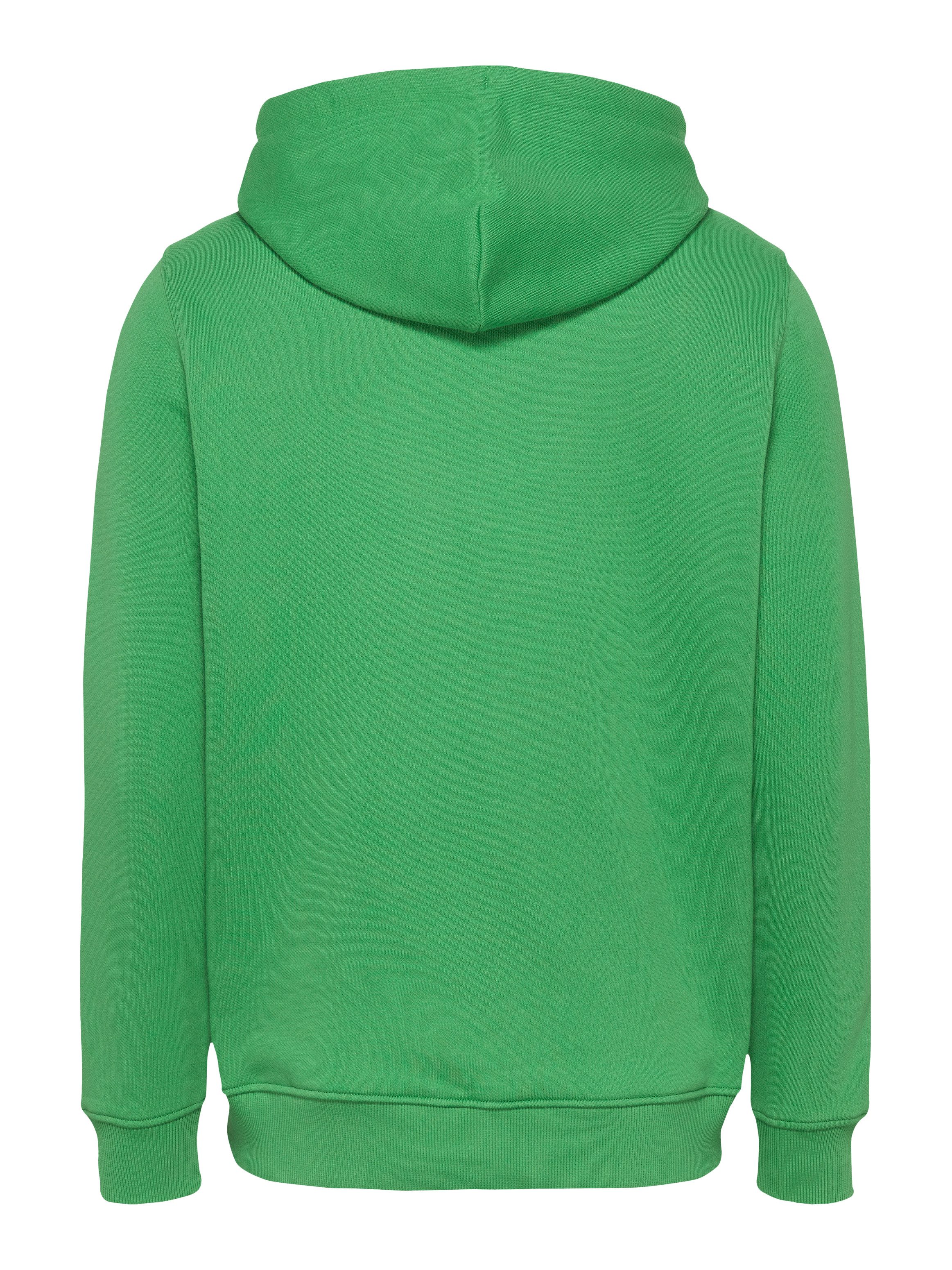 TOMMY JEANS Hoodie TJM REG BADGE HOODIE EXT