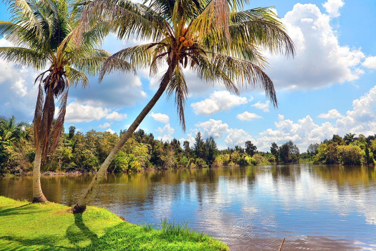 Papermoon Fotobehang Cubaans landschap Vliesbehang, eersteklas digitale print fotobehang maat 4,5 m x 2,8 m multicolor