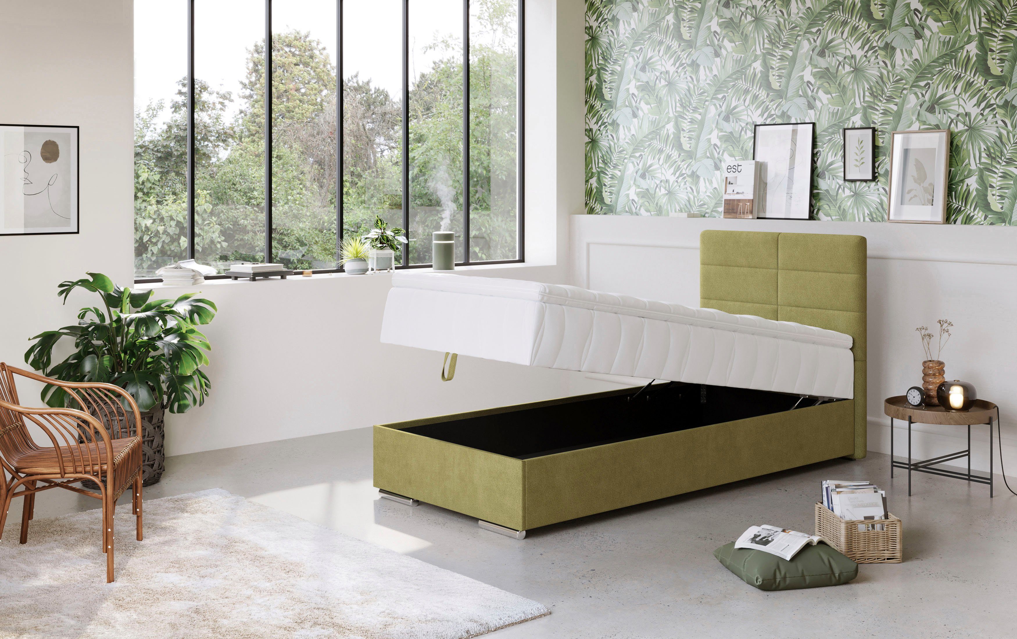 COTTA Boxspring Tom met bedkist, topmatras en sierkussen