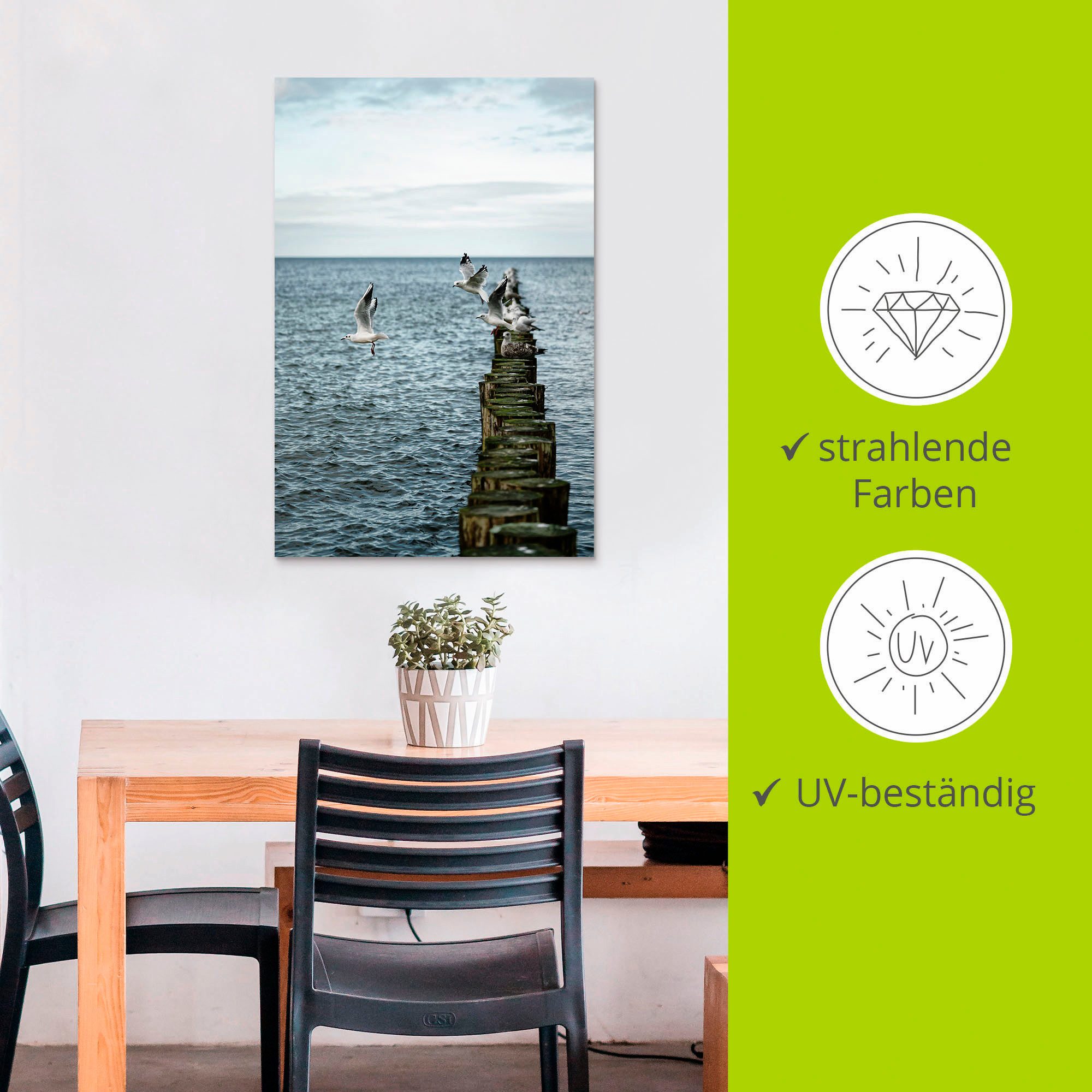 Artland Artprint Möwen starten von einer Buhnenreihe als artprint van aluminium, artprint voor buiten, poster in diverse formaten