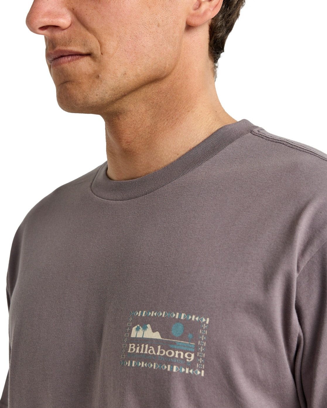 Billabong T-shirt Range