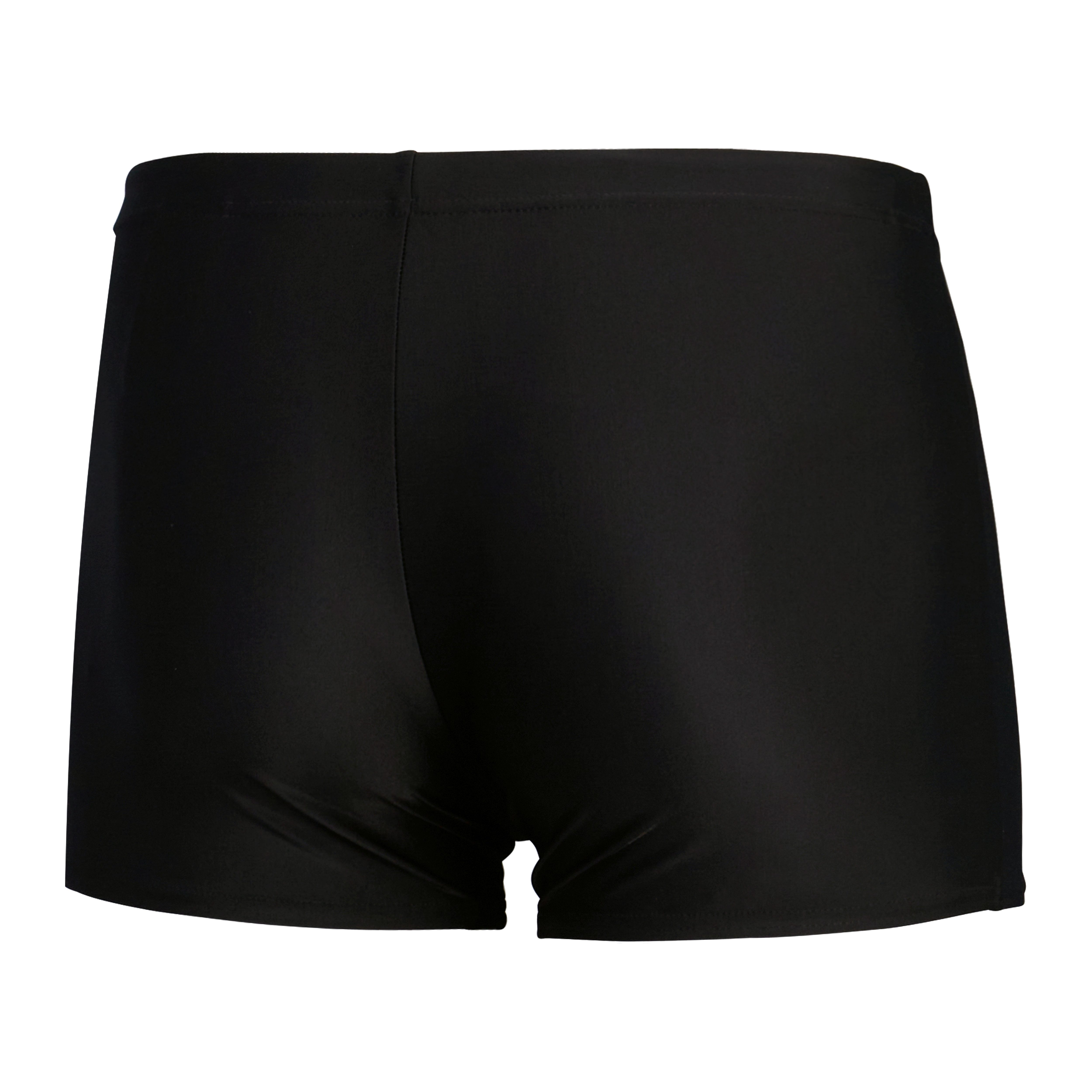 Speedo Zwembroek Heren Medley logo aquashort
