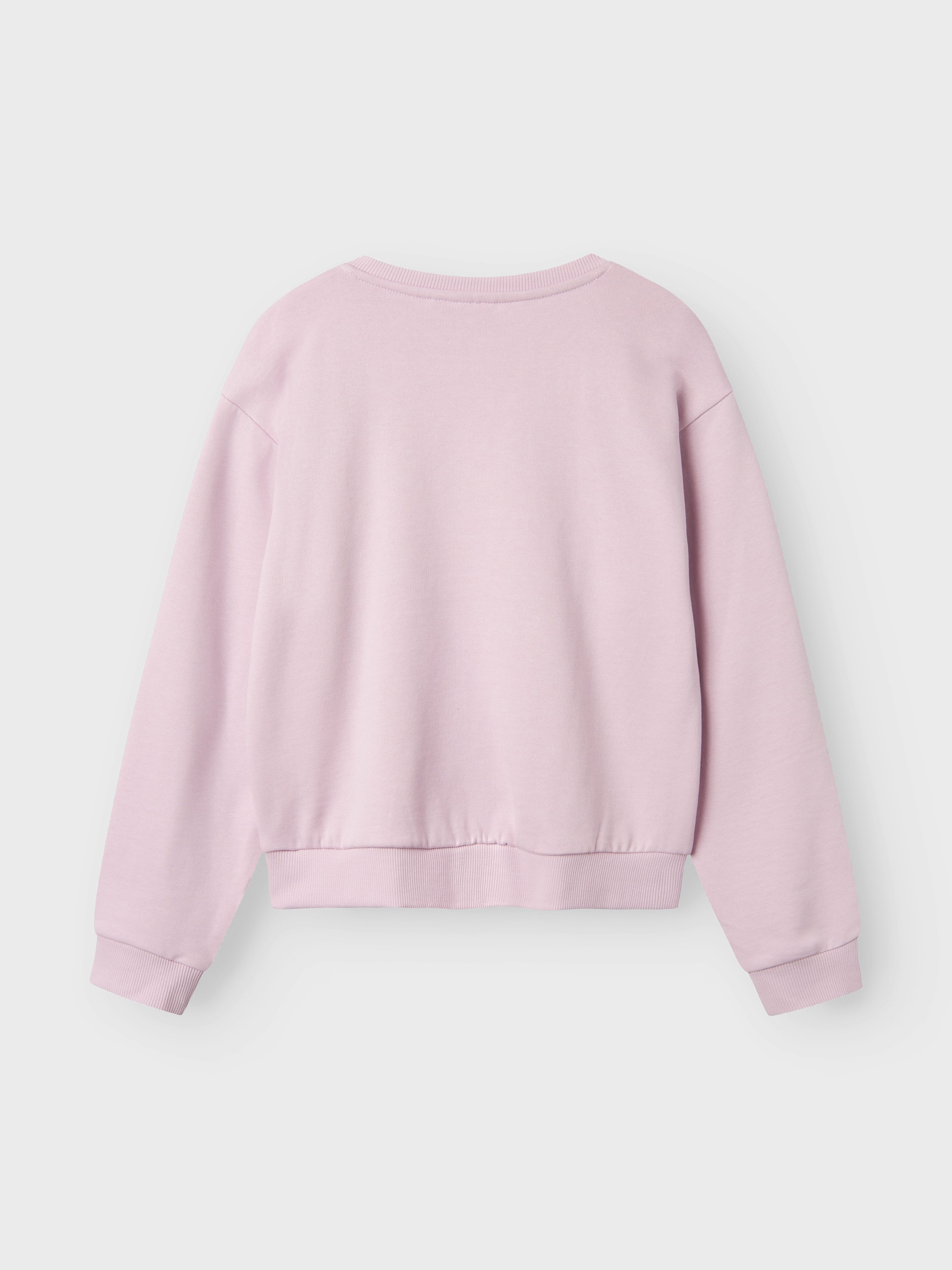 Name It Sweatshirt NKFTEKA LS NREG SWEAT BRU