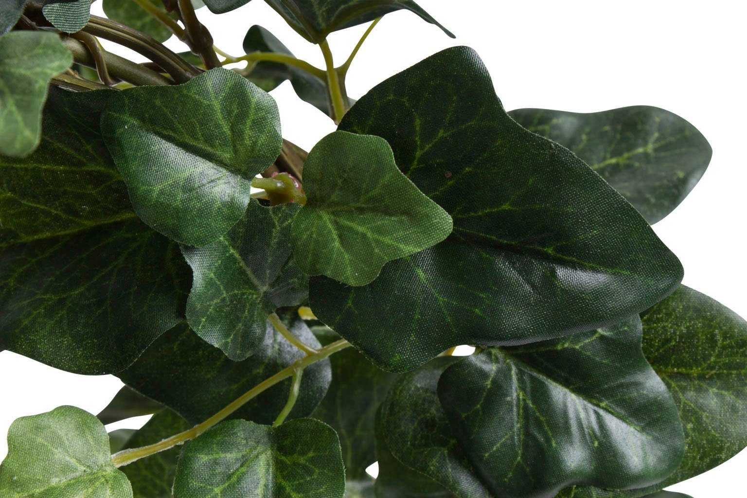 Botanic-Haus Kunst-potplanten Klimopboog in pot (1 stuk)