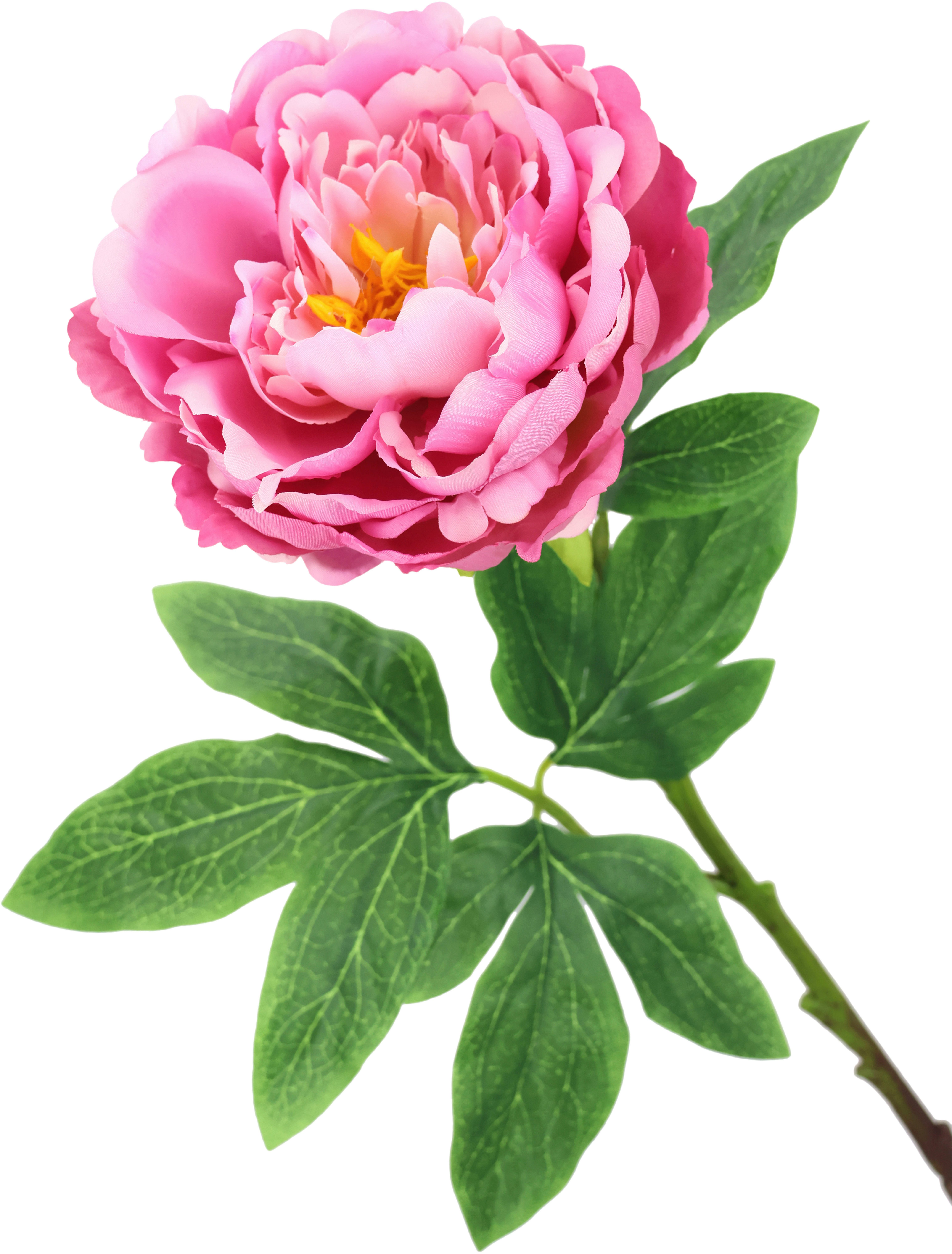 I.GE.A. Kunstbloem Pioenroos Pioenrozen enkele bloem, set van 3 (3 stuks)