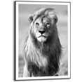 reinders! artprint leeuw zwart