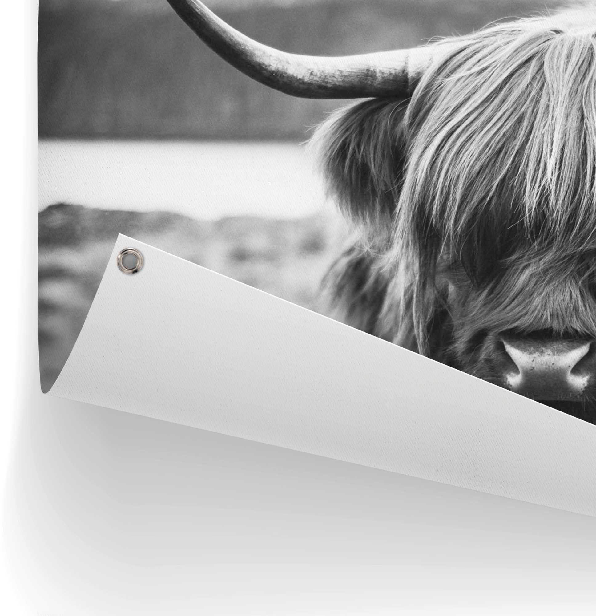 Reinders! Poster Schotse hooglander