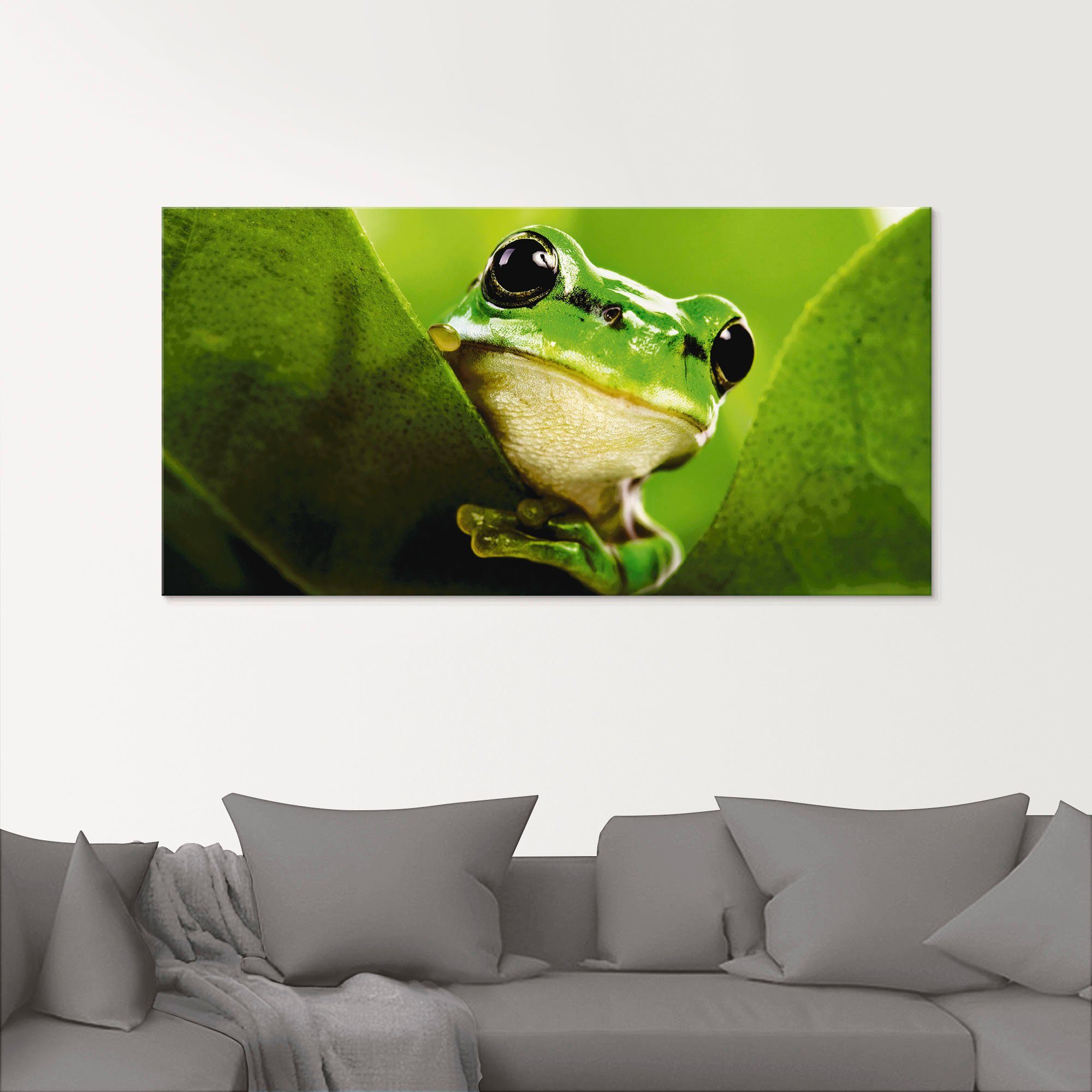 Artland Print op glas Kijkende kikker in verschillende maten