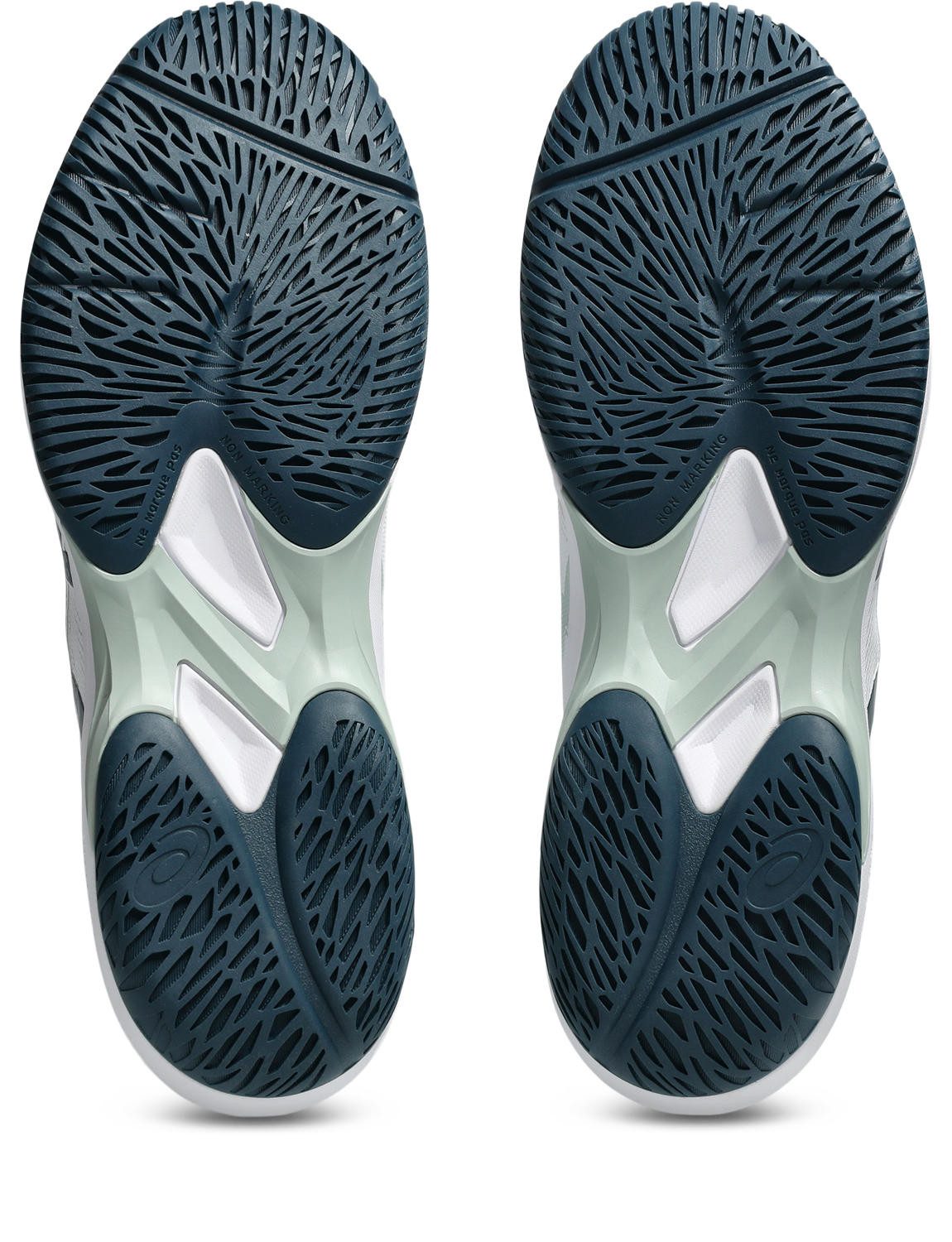 Asics Zaalschoenen COURT HUNTER FF