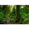 papermoon fotobehang tropische jungle stream vliesbehang, eersteklas digitale print multicolor
