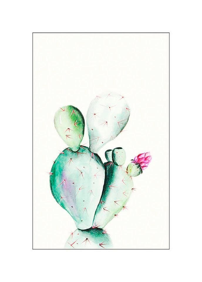 Komar Poster Prickly Pear Watercolor Hoogte: 40 cm