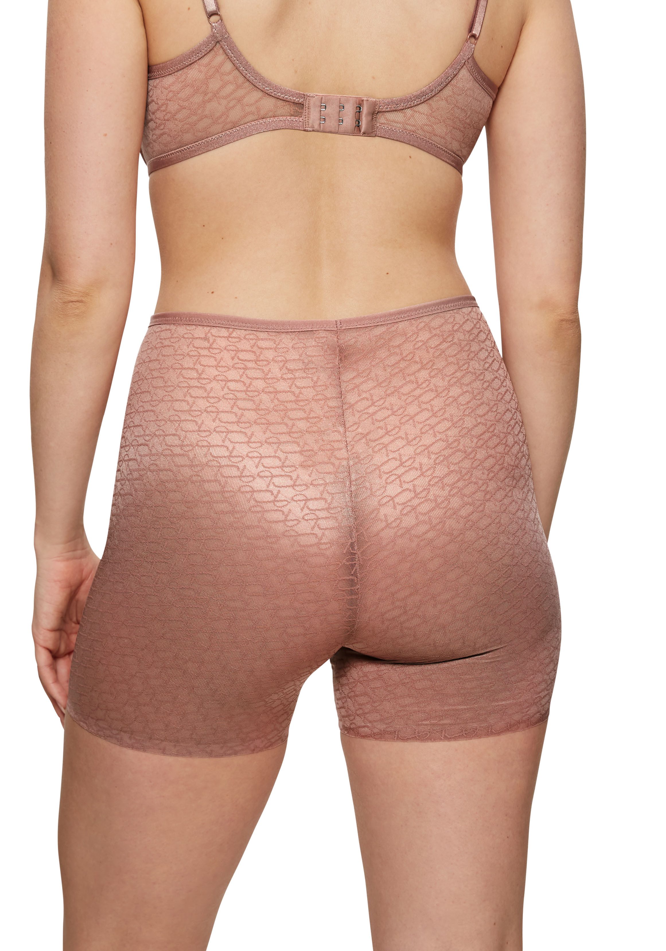 Triumph Hipster Signature Sheer Shorts