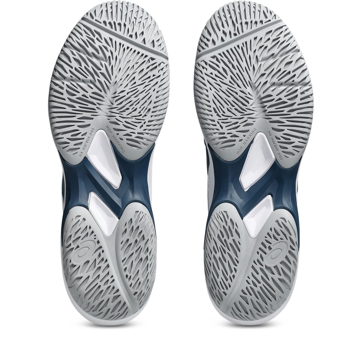 Asics Zaalschoenen COURT HUNTER FF