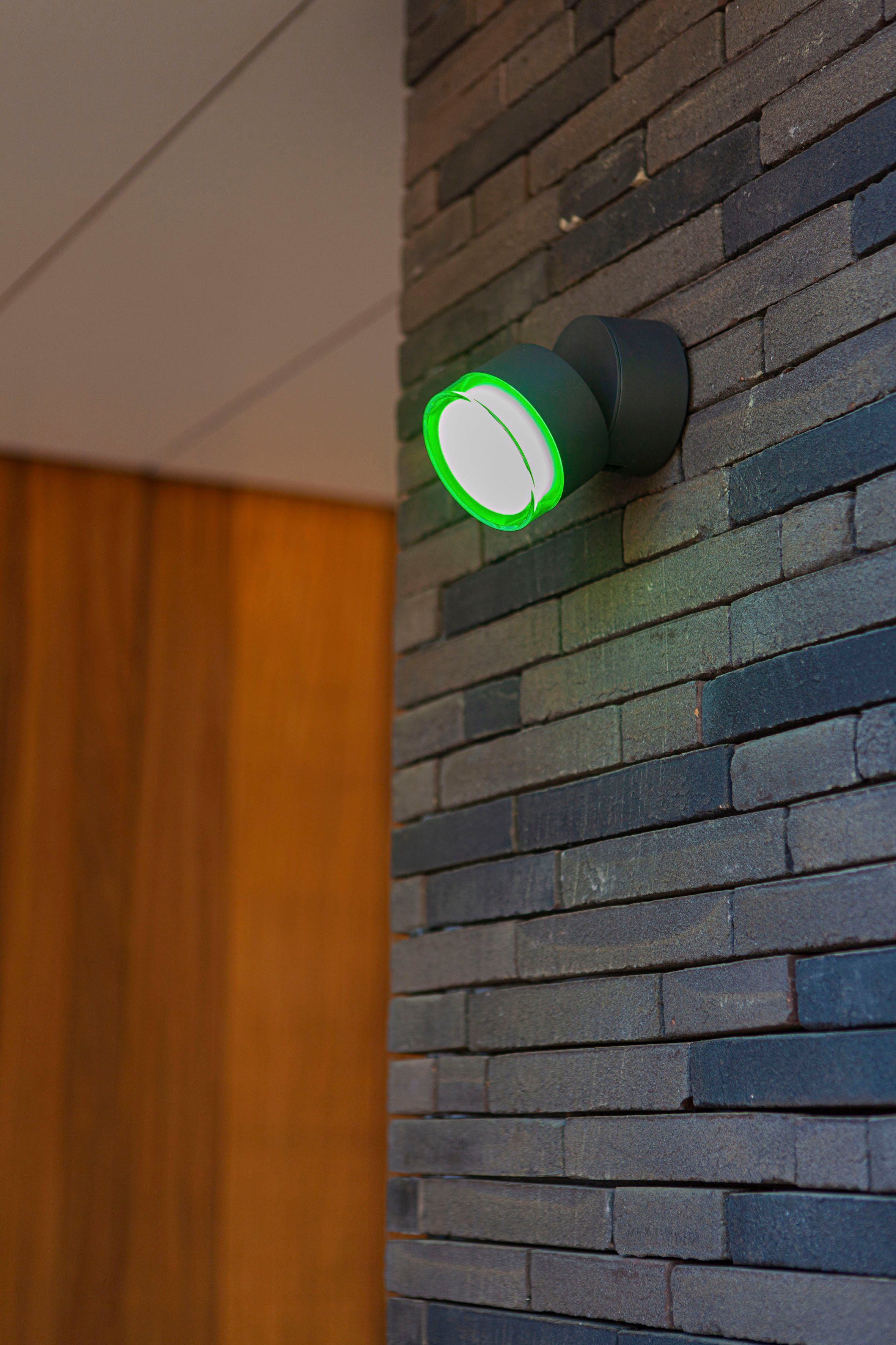 LUTEC Slimme ledlamp DROPSI Smart-home (1 stuk)