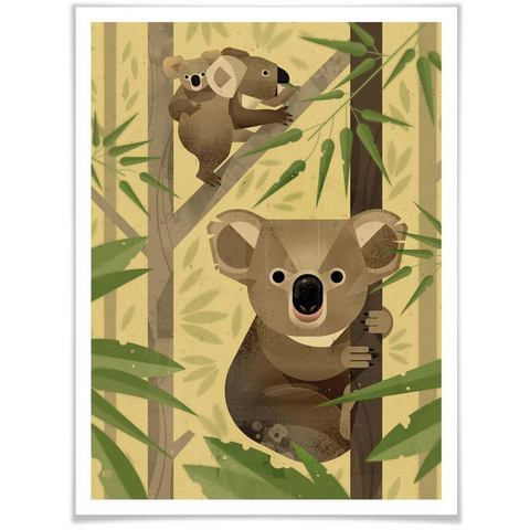 Wall-Art poster Koala