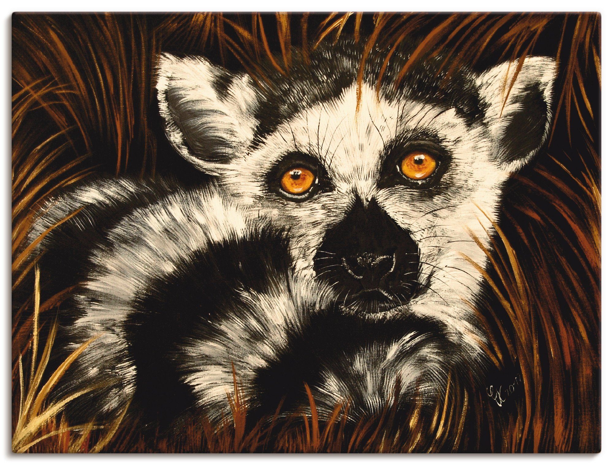 Artland Artprint Lemur II in vele afmetingen & productsoorten - artprint van aluminium / artprint voor buiten, artprint op linnen, poster, muursticker / wandfolie ook geschikt voor