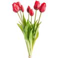 botanic-haus kunstbloem tulpenbundel rood