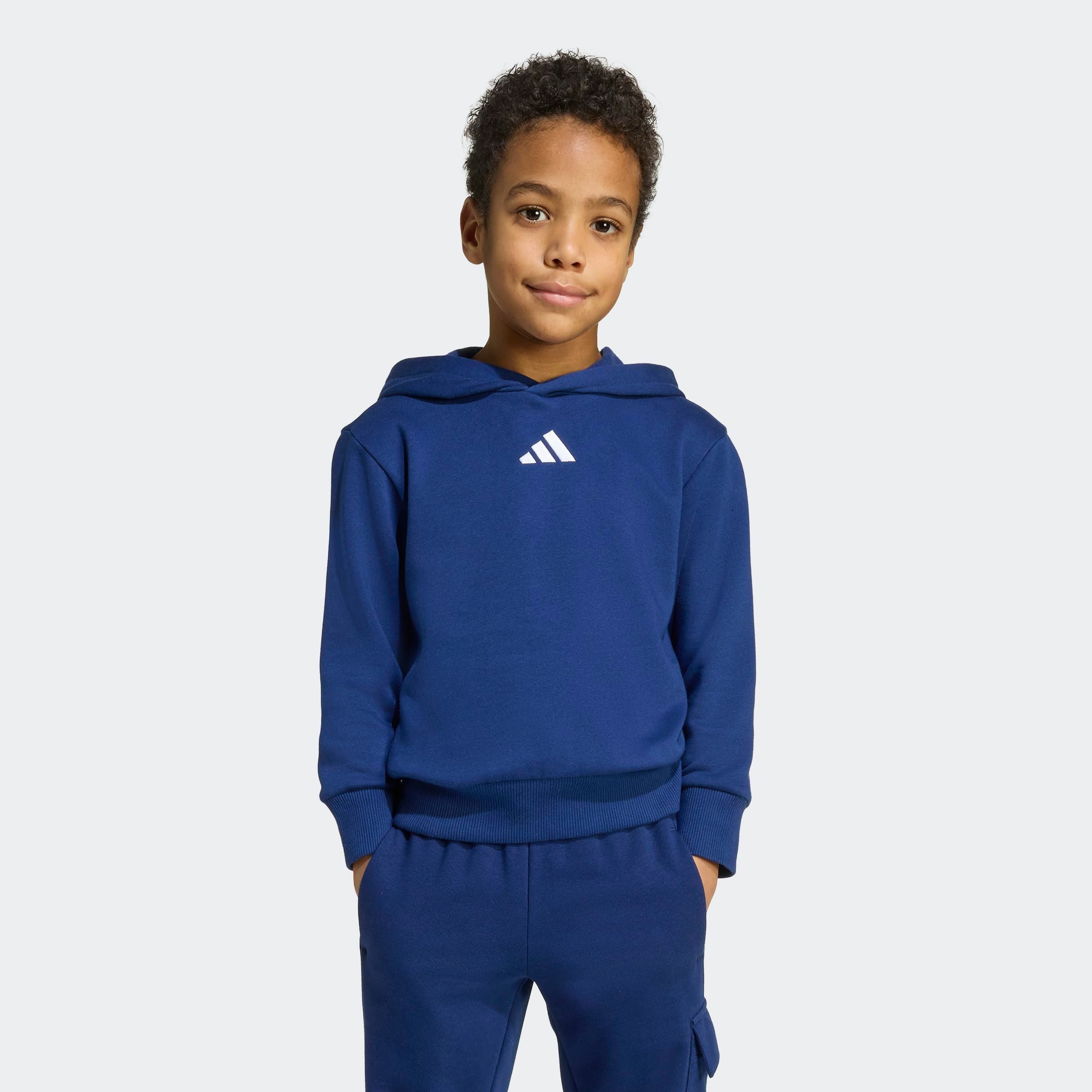adidas Sportswear Hoodie LK SL FL HD