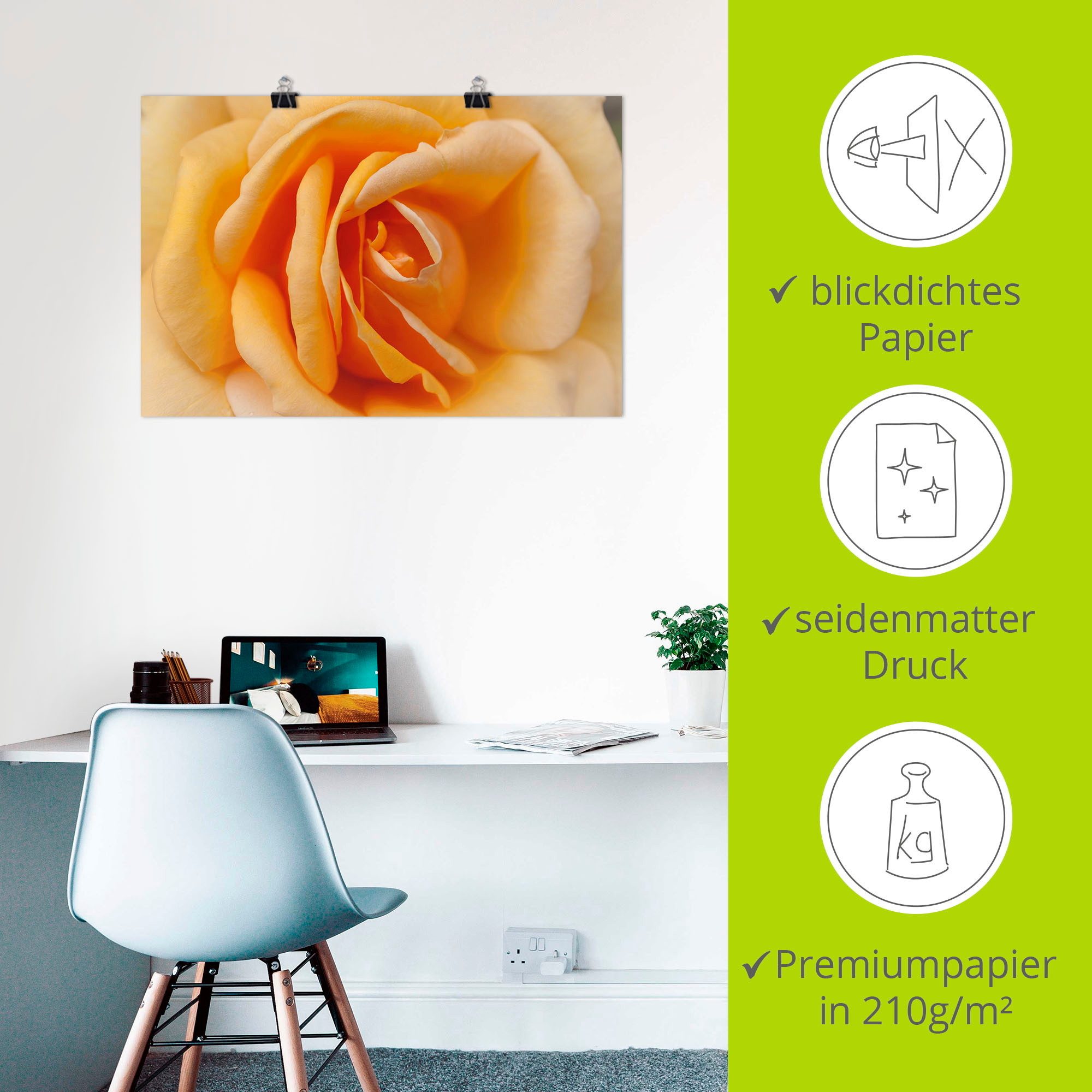 Artland Artprint Fijne roos in oranje als artprint op linnen, poster in verschillende formaten maten
