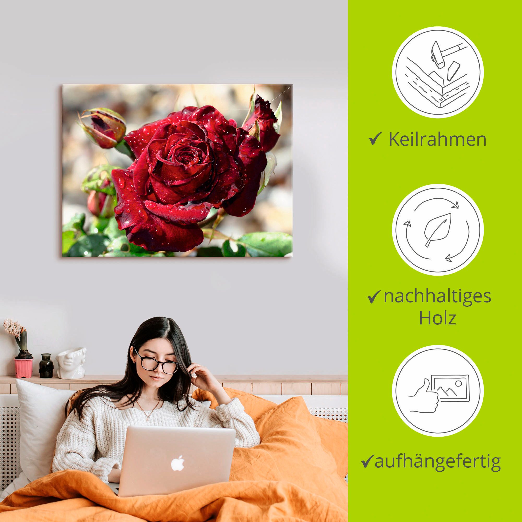 Artland Artprint Roos met druppels als artprint op linnen, poster, muursticker in verschillende maten