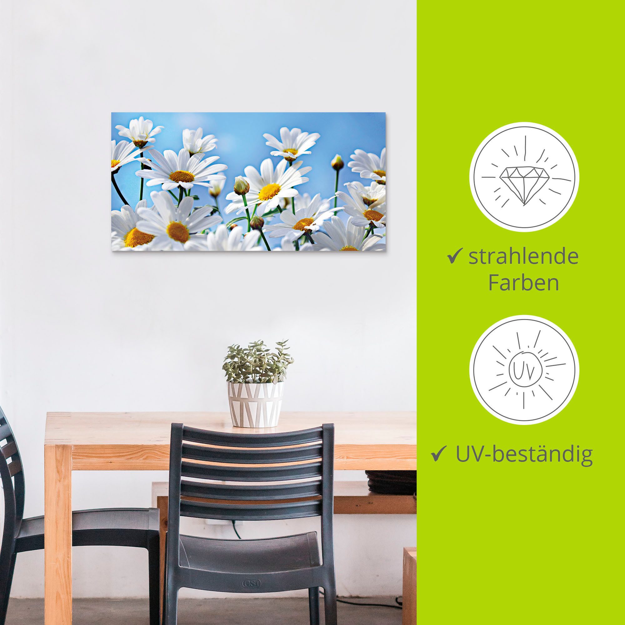 Artland Artprint Bloemen - margrieten als artprint van aluminium, artprint voor buiten, artprint op linnen in verschillende maten