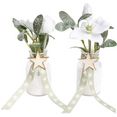botanic-haus kunst-potplanten mistel-arrangement (set, 2 stuks) wit