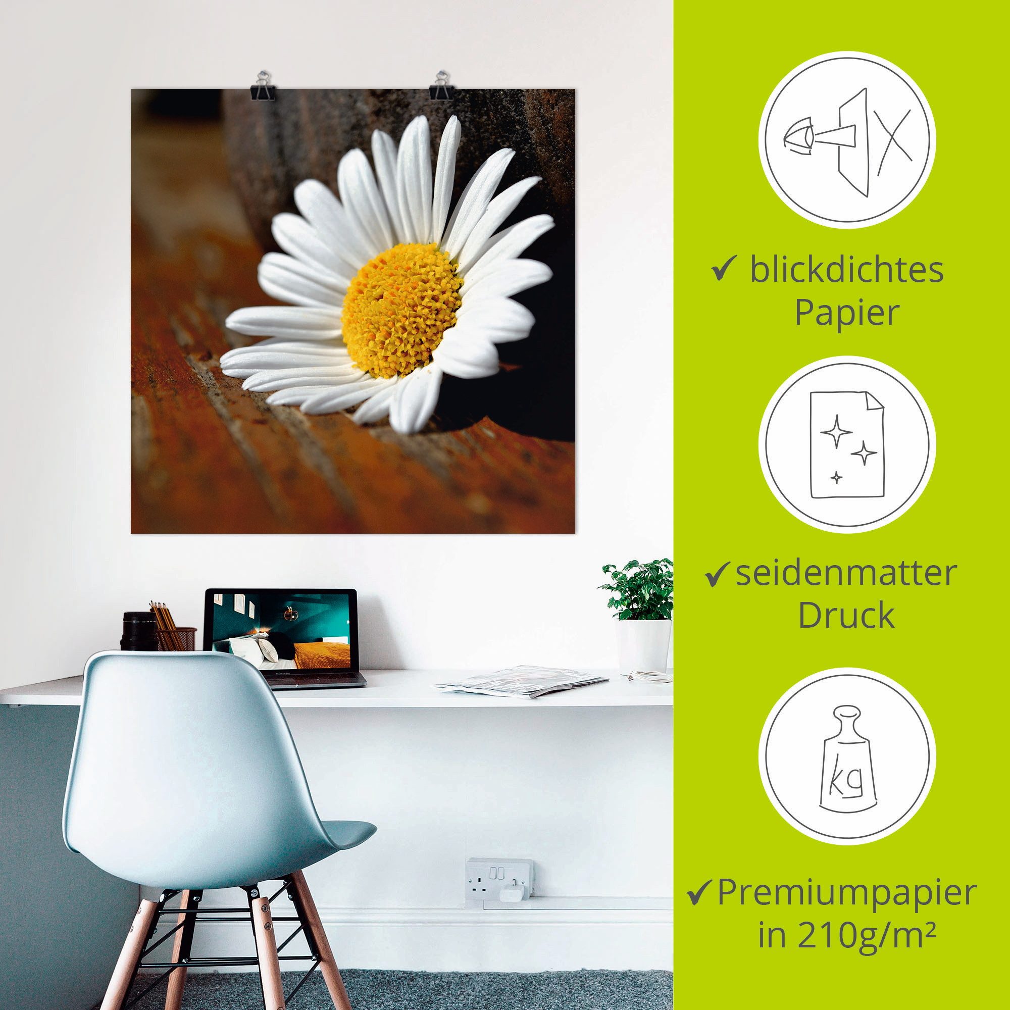 Artland Poster Margrieten stilleven als artprint op linnen, muursticker of poster in verschillende maten