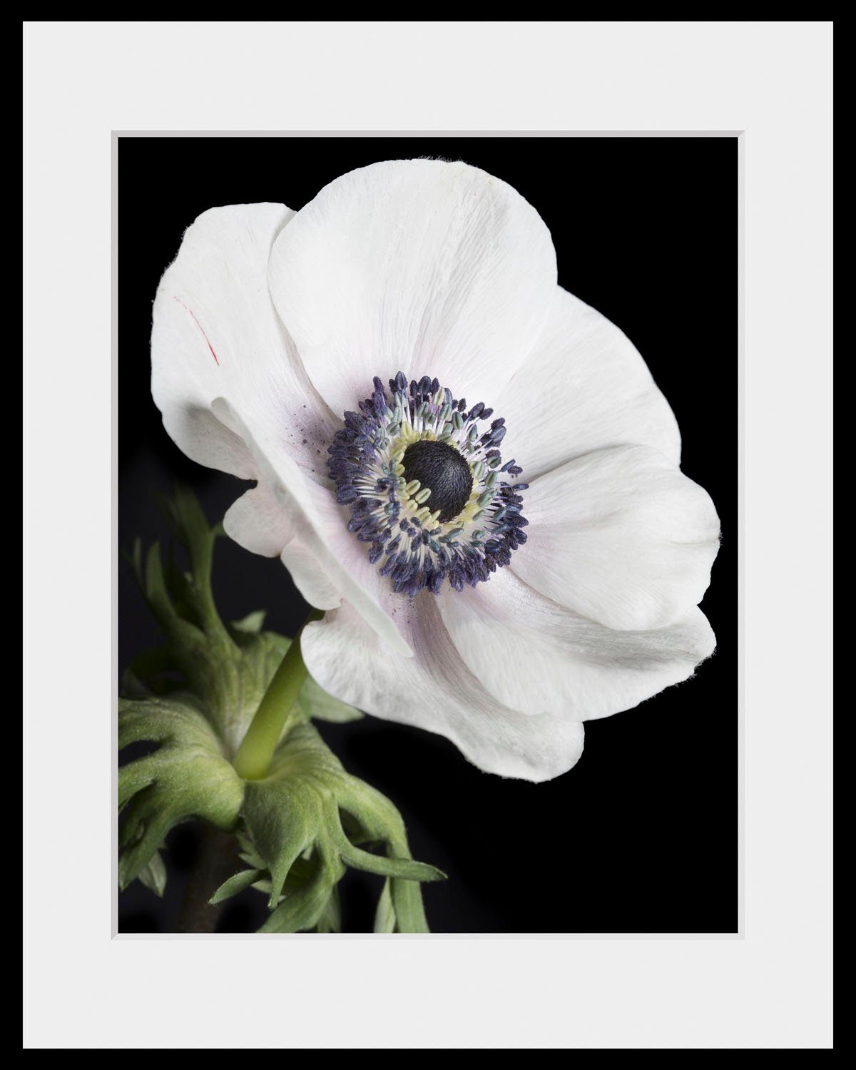queence Wanddecoratie Leslie HD premium posterdruk incl. houten lijst (1 stuk)