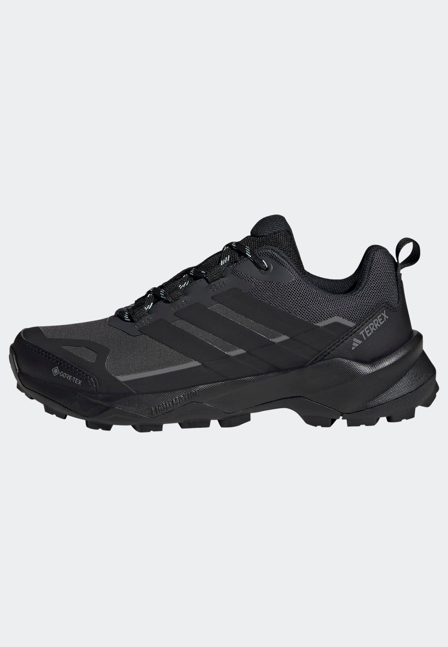 adidas TERREX Wandelschoenen TERREX SKYCHASER AX5 GORE-TEX E