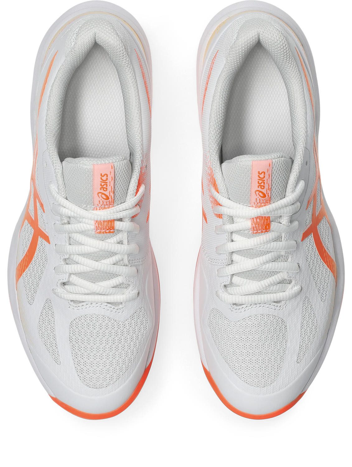 Asics Zaalschoenen COURT HUNTER FF