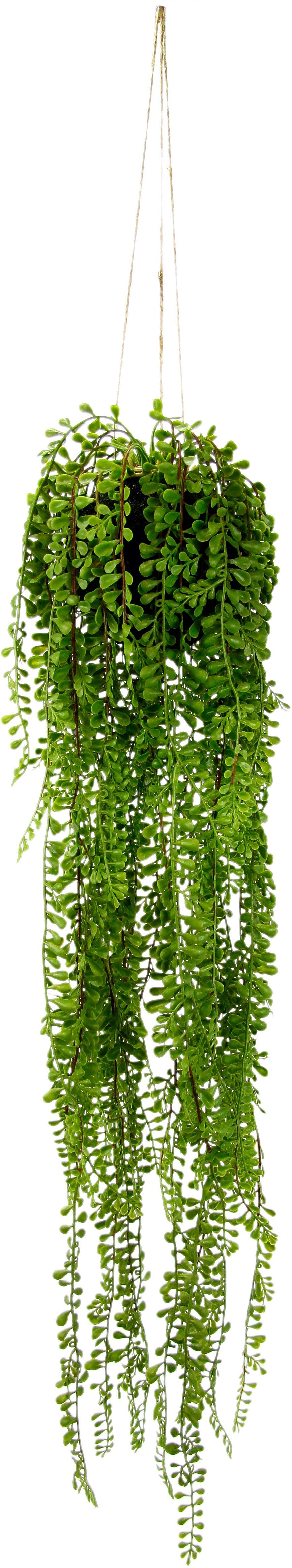 I.GE.A. Kunstplant Senecio-plantenhanger (1 stuk) kunstplanten groen