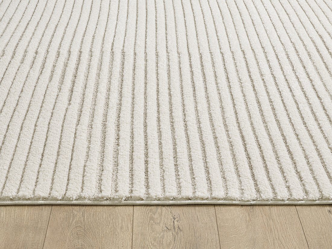 the carpet Vloerkleed Everest moderne woonkamer tapijt met hoge pooldichtheid