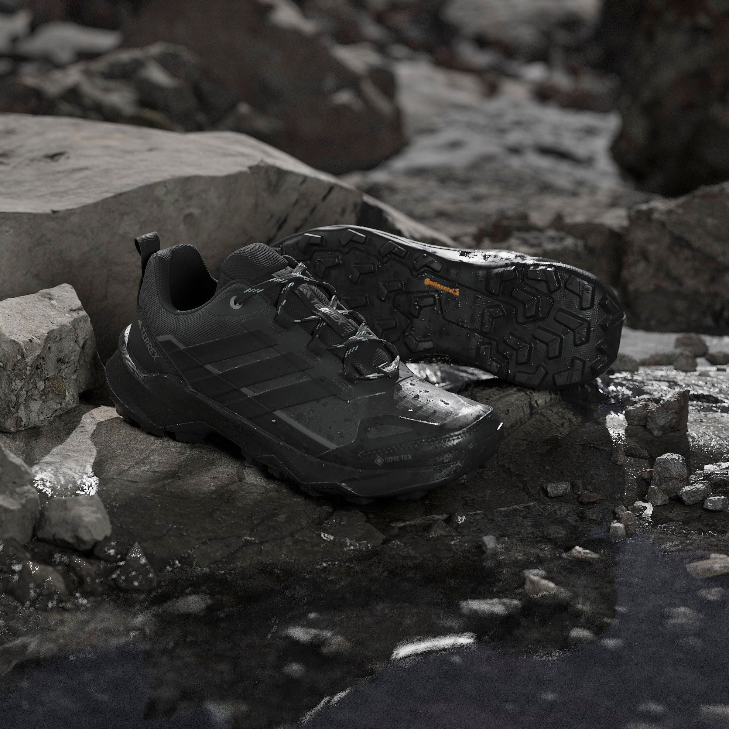 adidas TERREX Wandelschoenen TERREX SKYCHASER AX5 GORE-TEX E