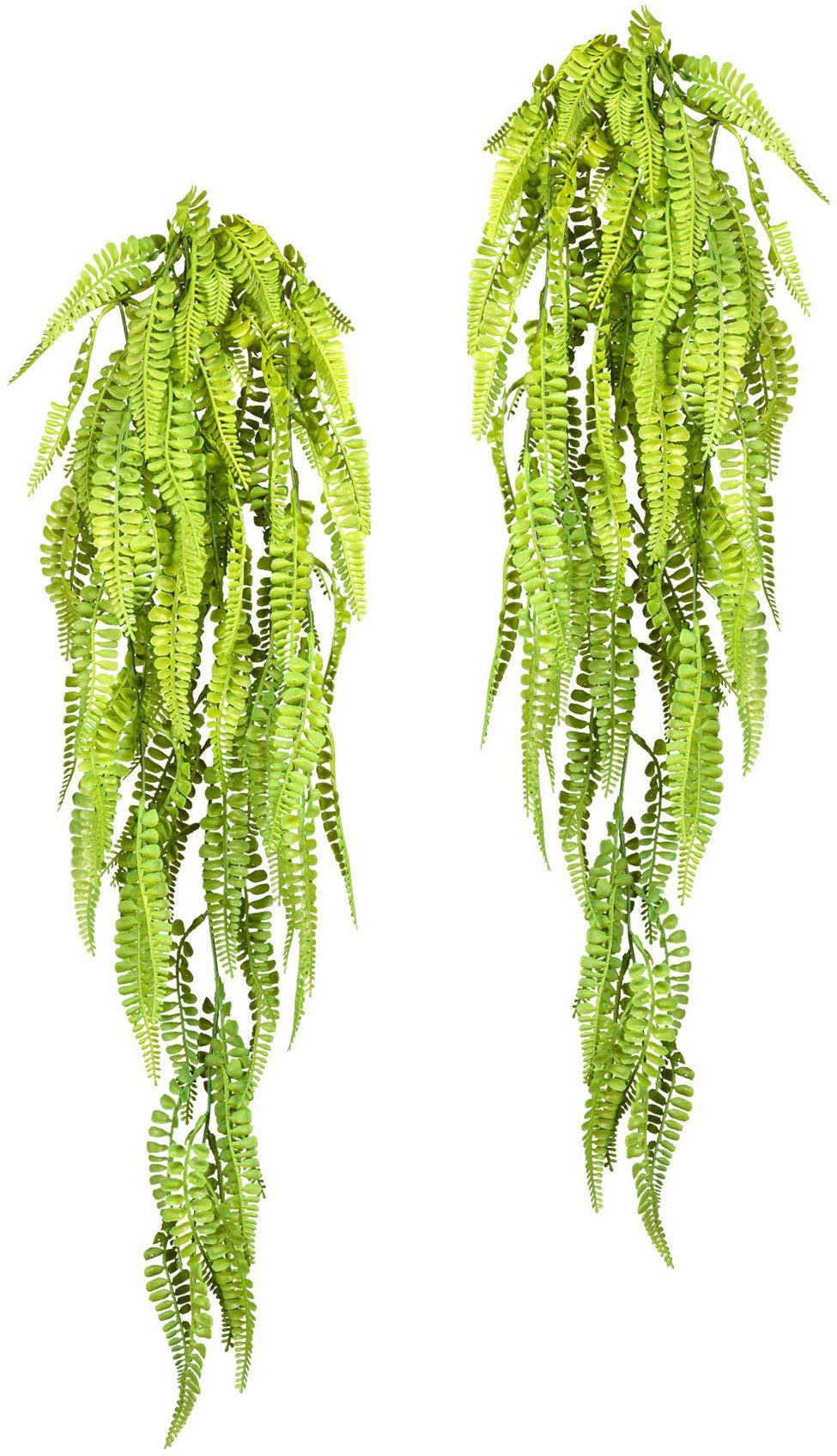 Creativ green Kunstplant Adianthumhanger set van 2 (2 stuks)
