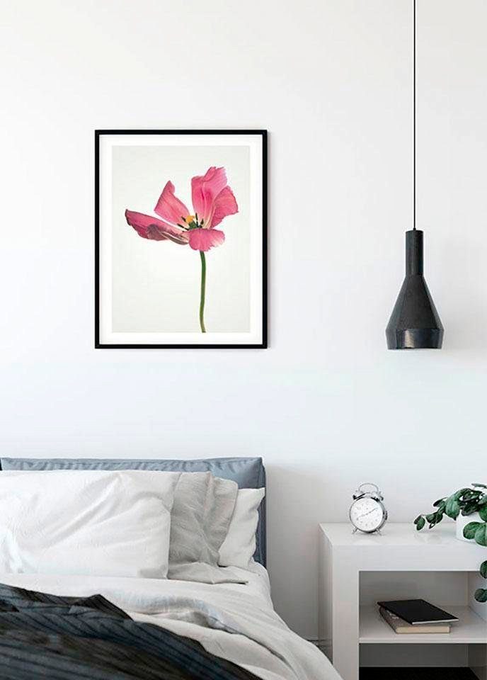 Komar Wanddecoratie TULIP Wanddecoratie - zonder lijst (1 stuk)