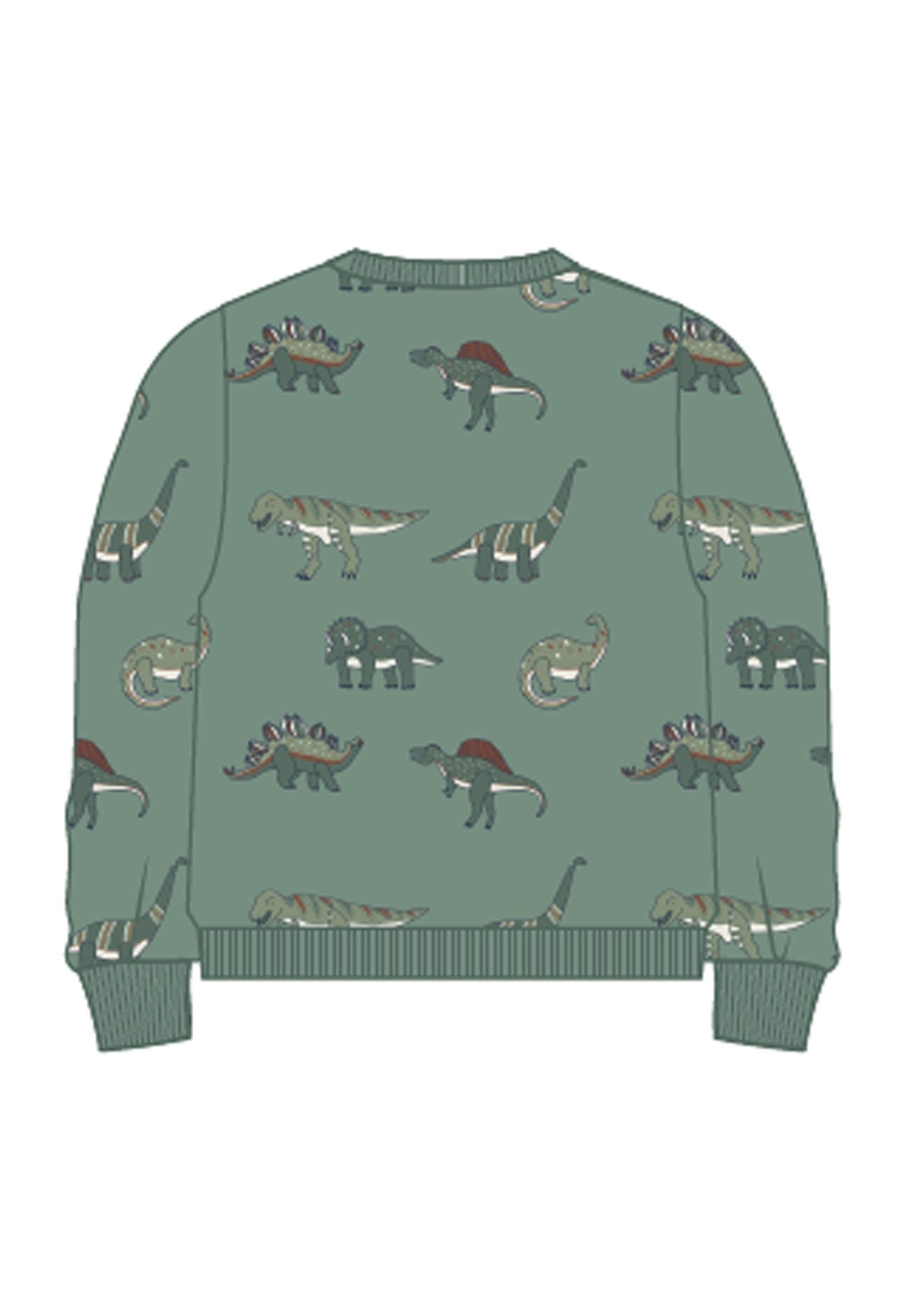 Name It Sweatshirt NMMNENEAN LS SWE BRU PB
