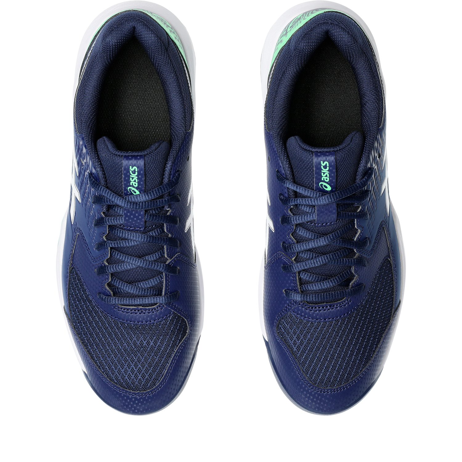 Asics Tennisschoenen GEL-DEDICATE 8 CLAY