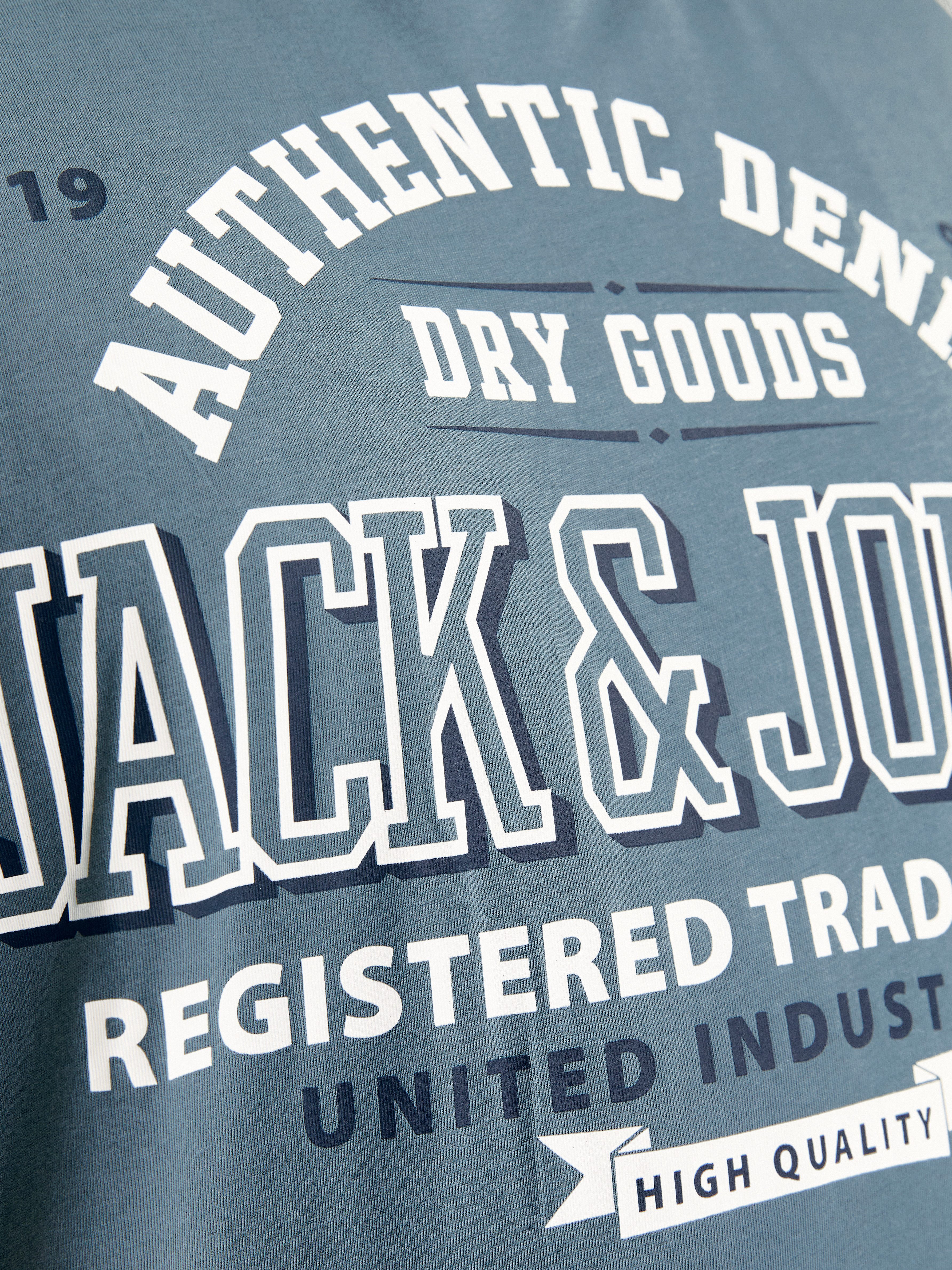 Jack & Jones PlusSize T-shirt JJELOGO TEE SS O-NECK 2 COL AW24 S PLS