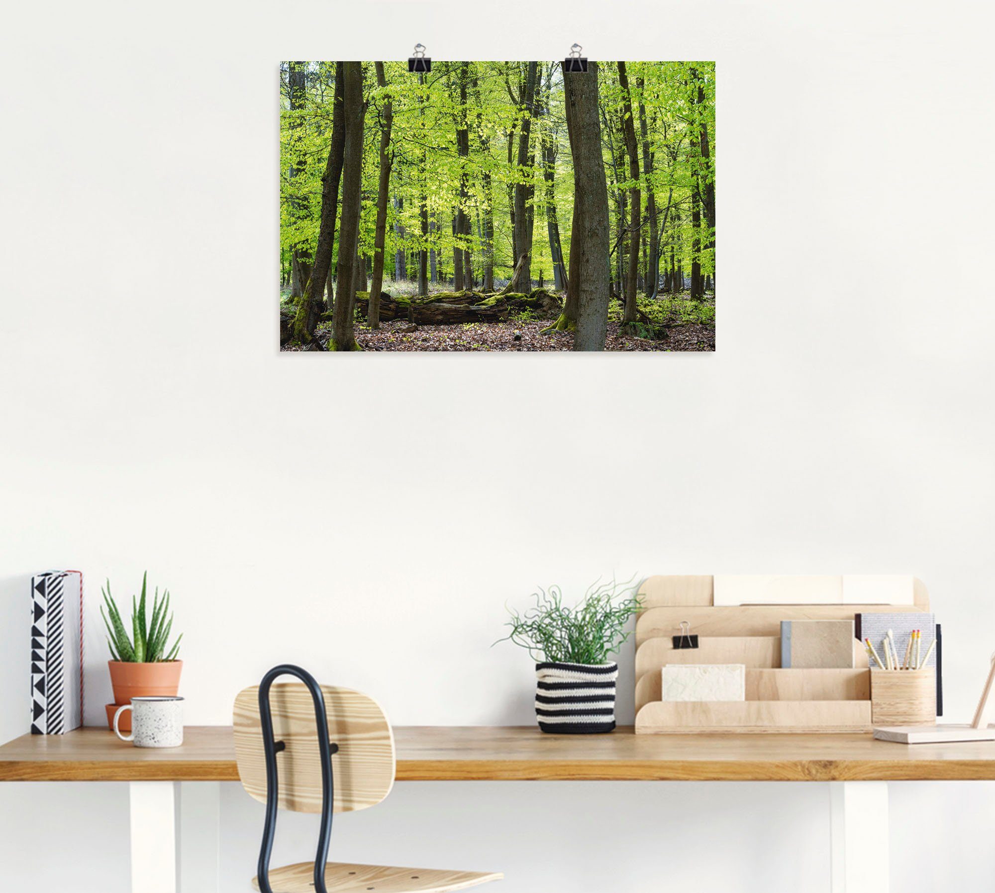 Artland Poster Loofbos in het voorjaar als artprint van aluminium, artprint op linnen, muursticker of poster in verschillende maten