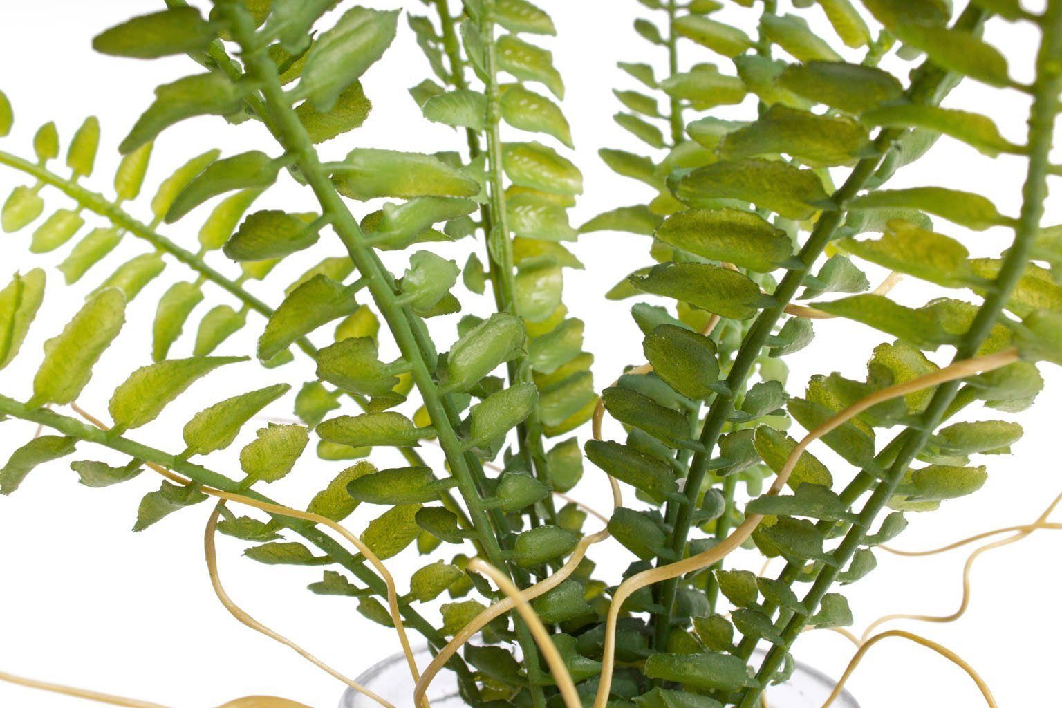 Botanic-Haus Kunst-potplanten Varen in het glas (set, 2 stuks)