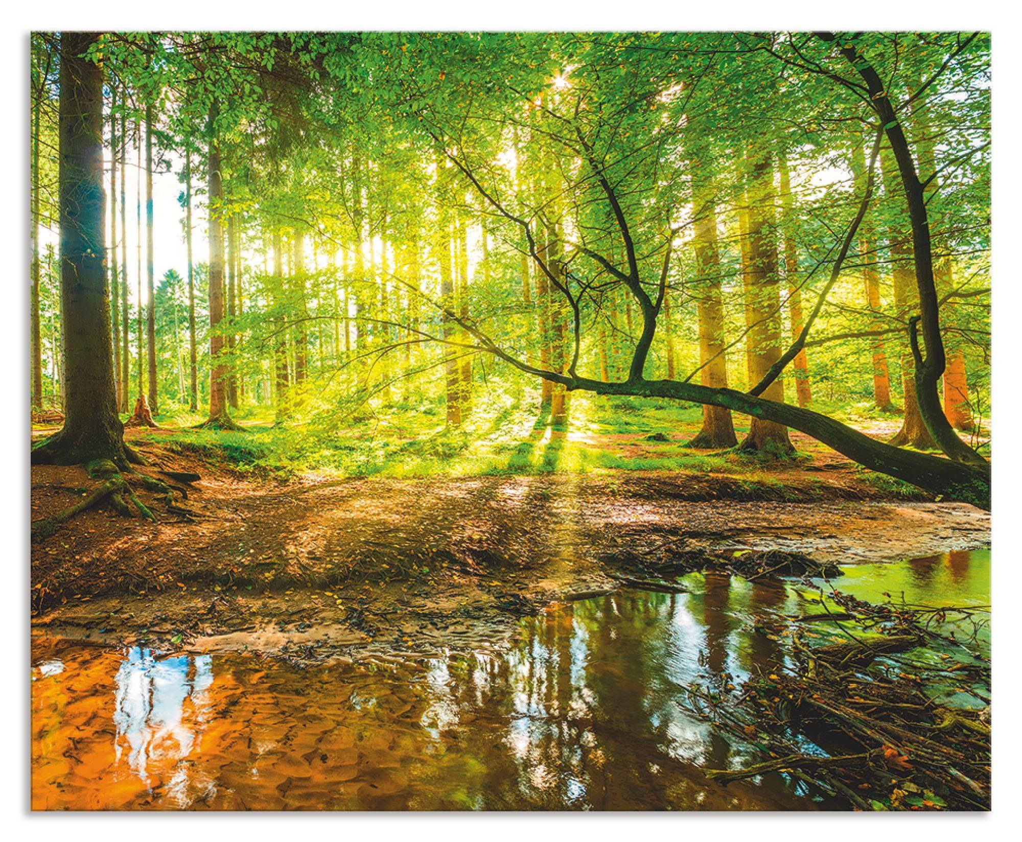 Artland Keukenwand Bos met beek zelfklevend in vele maten - spatscherm keuken achter kookplaat en spoelbak als wandbescherming tegen vet, water en vuil - achterwand, wandbekleding