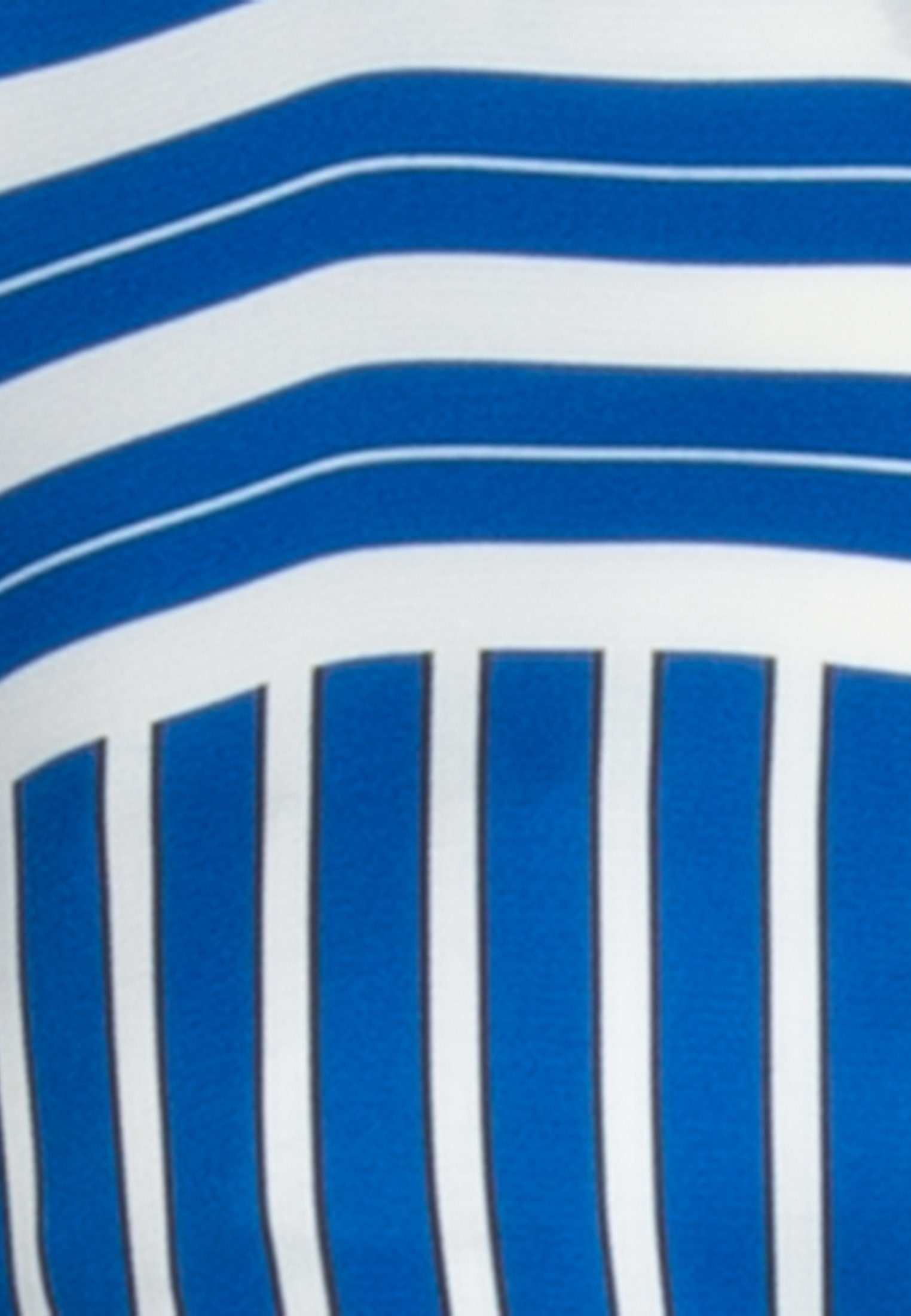seidensticker Zomerjurk Zwarte roos Lange Mouwen Kraag Strepen patroon
