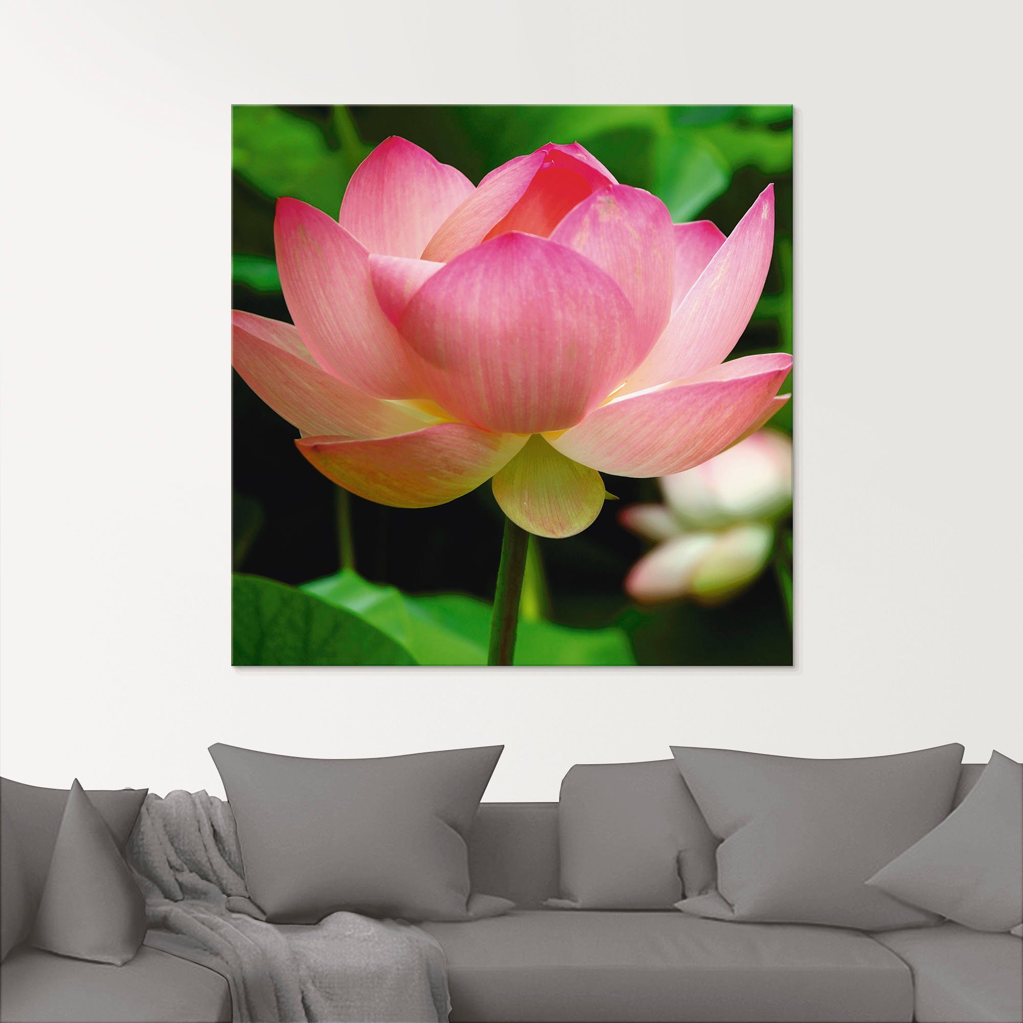 Artland Print op glas Lotus - waterlelie in verschillende maten