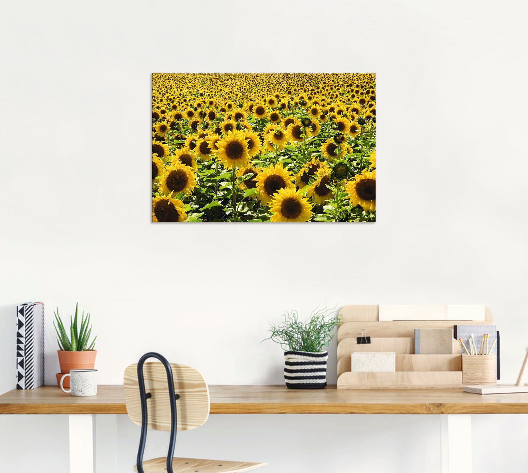 Artland Artprint Zonnebloemveld als artprint van aluminium, artprint voor buiten, artprint op linnen, poster in verschillende maten. maten