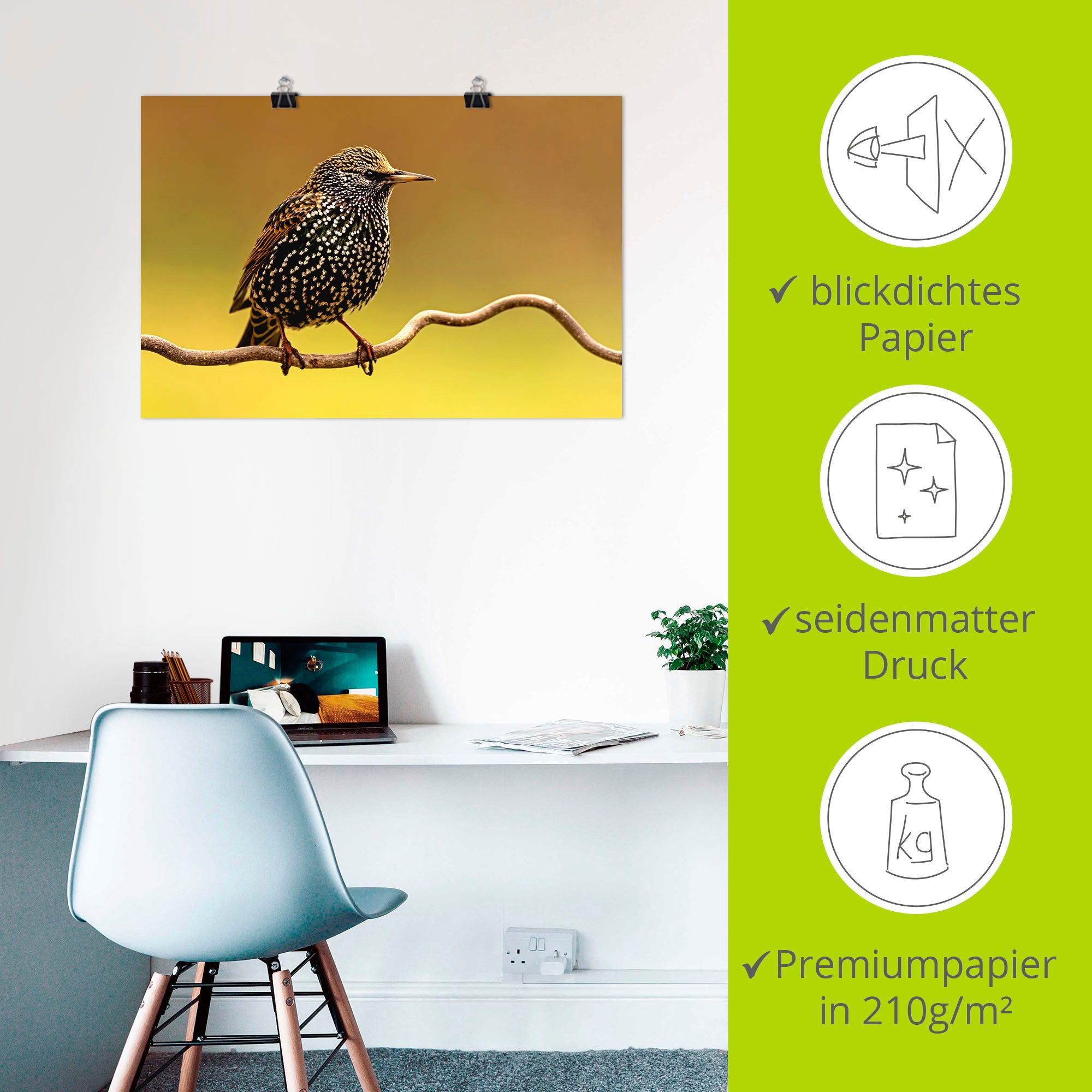 Artland Artprint Star als artprint op linnen, poster in verschillende formaten maten