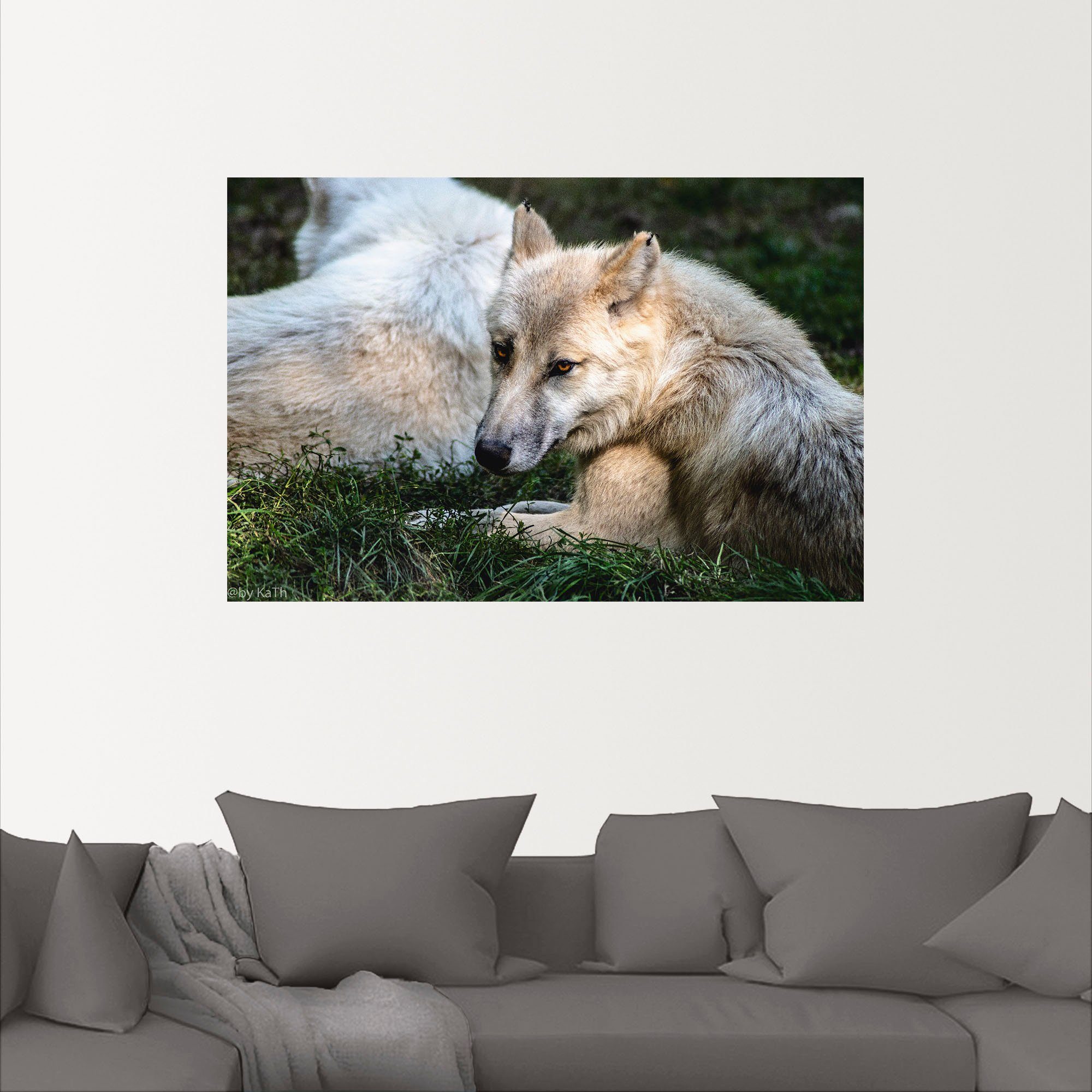 Artland Artprint Wolf II als artprint van aluminium, artprint op linnen, muursticker of poster in verschillende maten