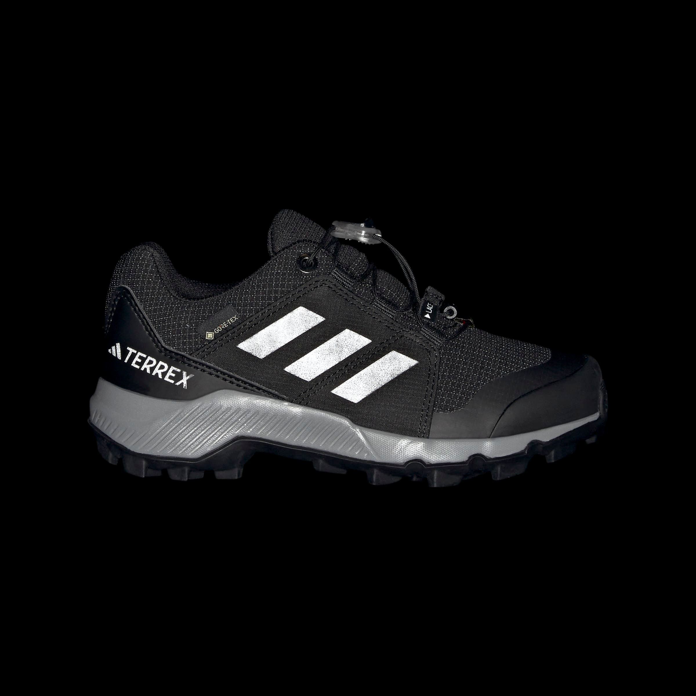 adidas TERREX Wandelschoenen TERREX GORE-TEX